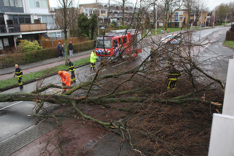 KeesBakkerBoom2