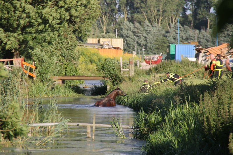 PaardVoorweg 1