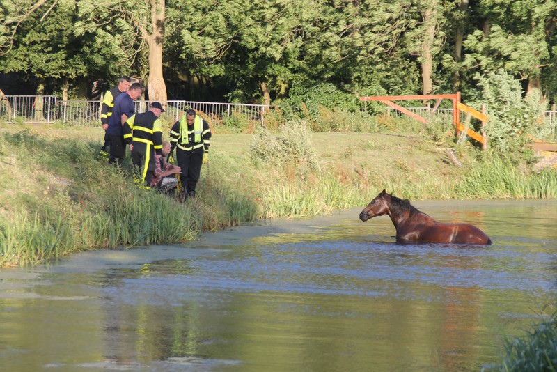 PaardVoorweg 2