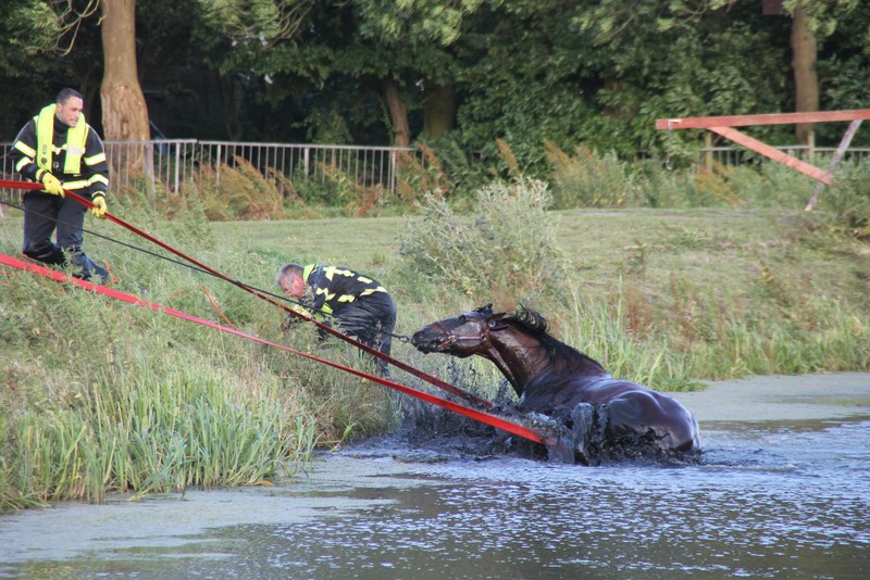 PaardVoorweg 5