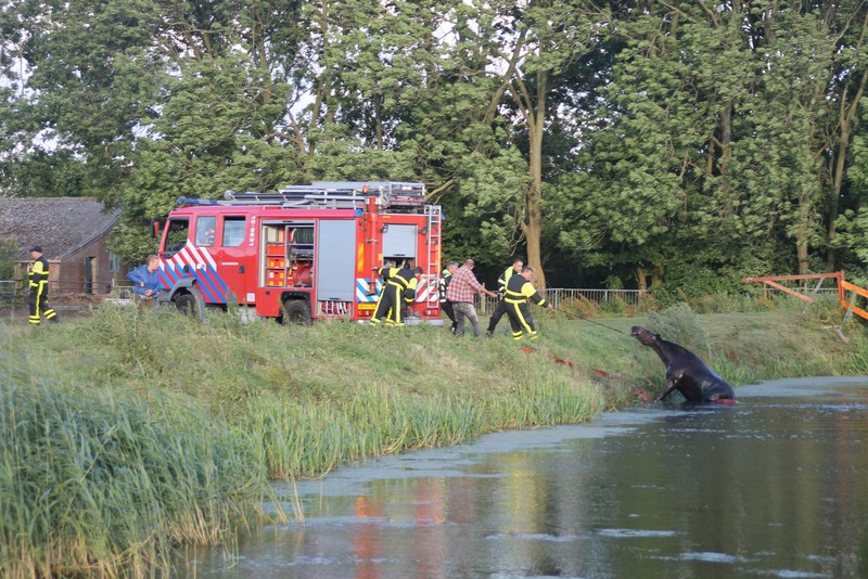 PaardVoorweg 6