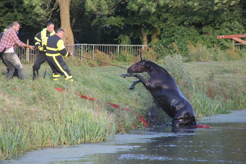 PaardVoorweg 7