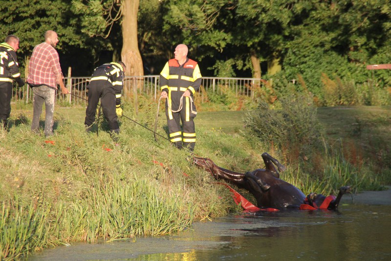 PaardVoorweg 8