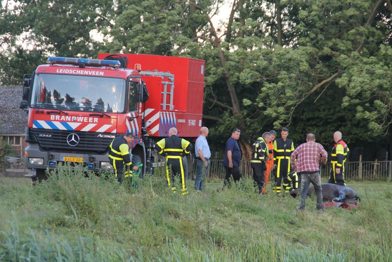 PaardVoorweg 9