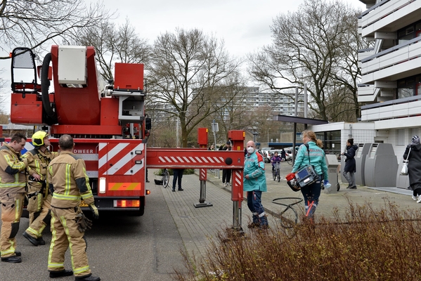 savelsbos brand3