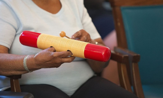 De Band voor ouderen met dementie Palet Welzijn 3