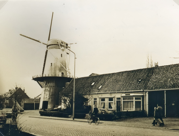 Molen de Hoop met de huisjes P6666