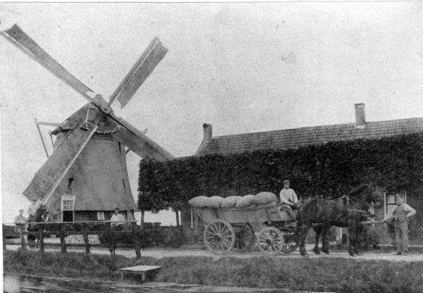 Molen de Hoop voorganger