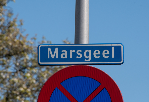 Marsgeel