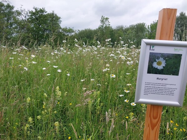 wilde plantenwandeling