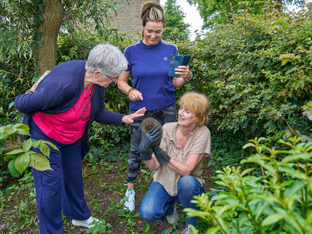 Egeltje uit de egelopvang helpt vrijwilligers van Piëzo in Wijktuin Noordhove fotograaf Leon Koppenol