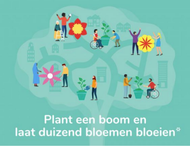 Plant een boom