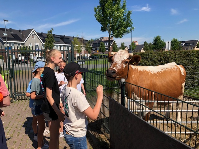 Weidemolen