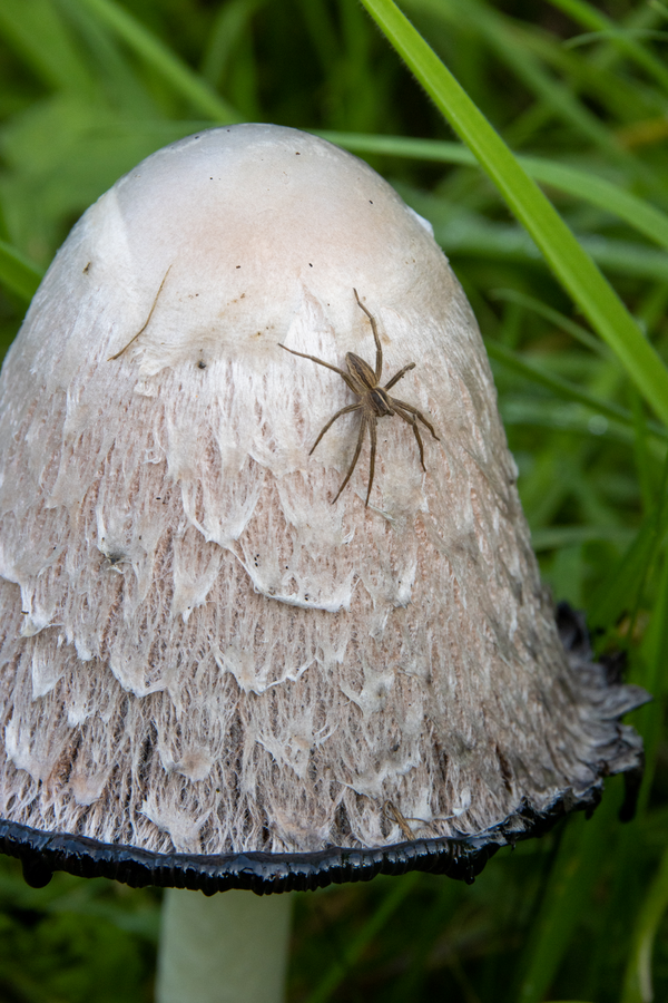 okt25 Ellis van der meulen