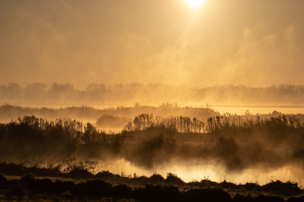 wokt25 P Nicolaas N3mp