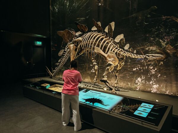 Naturalis 2 vakantiemaatje