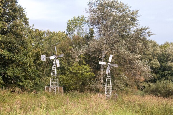 molens natuurtuin