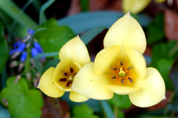 DSC01325a w