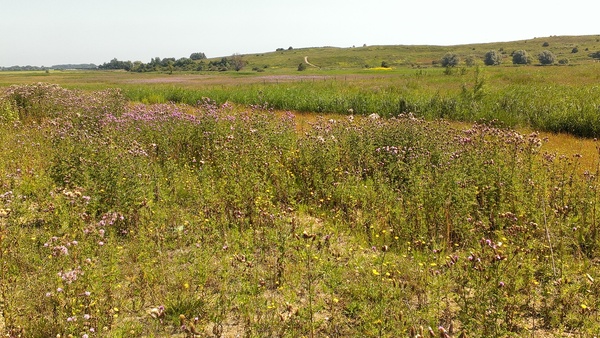 lentewandeling Buytenpark