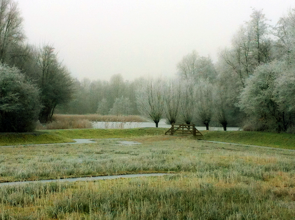 Natuurtuin inwintersfeer3