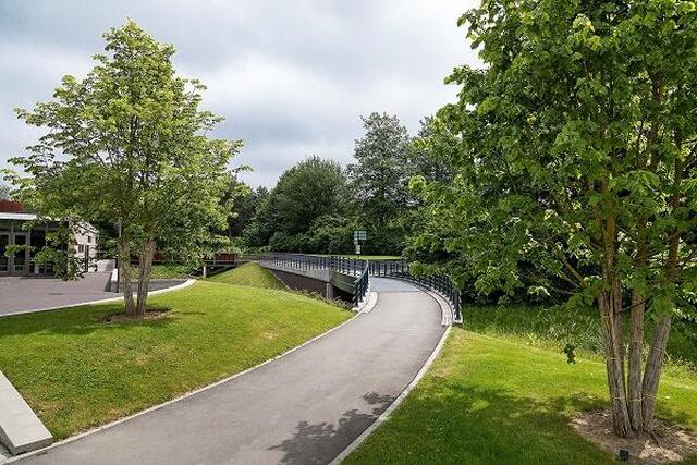 begraafplaats hoflaan600x400