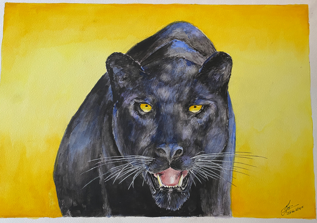 panter