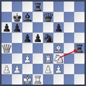 schaken1-1