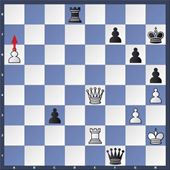schaken11-1