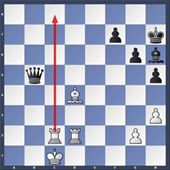 schaken14-1