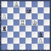 schaken14-2