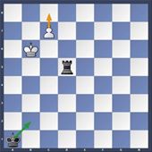 schaken5-1