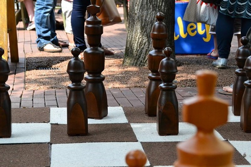 schaakspel-groot2